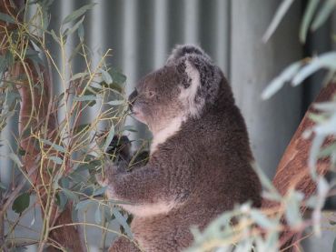 Waterways Wildlife Park