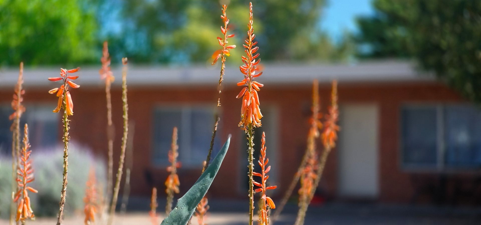 Gunnedah motel